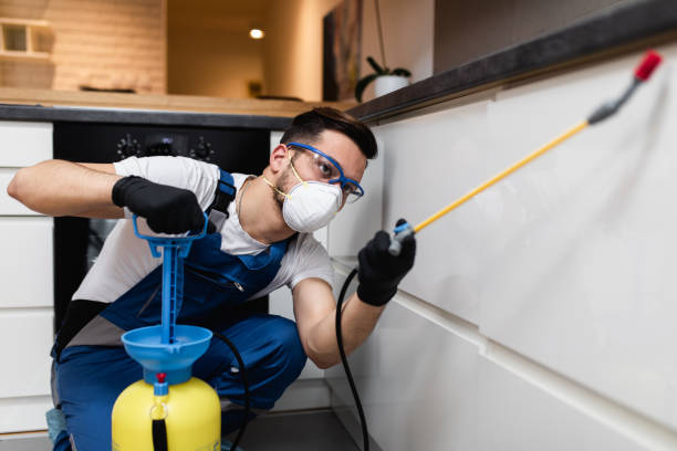 Best Local Pest Control Services  in Tylertown, MS