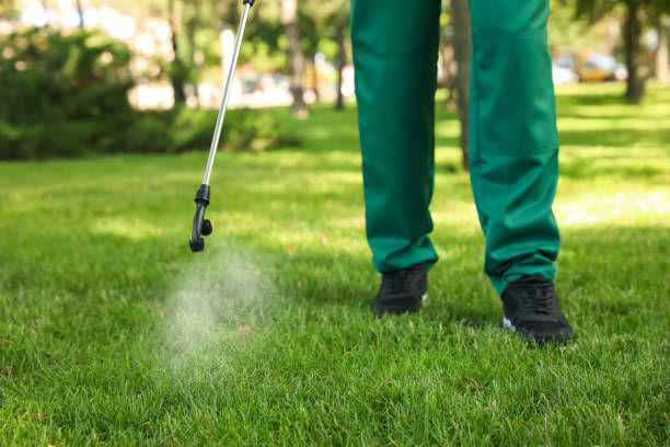 Best Residential Pest Control  in Tylertown, MS