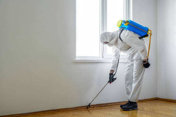Best Pest Prevention Services  in Tylertown, MS