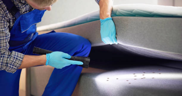 Best Best Pest Control Companies  in Tylertown, MS