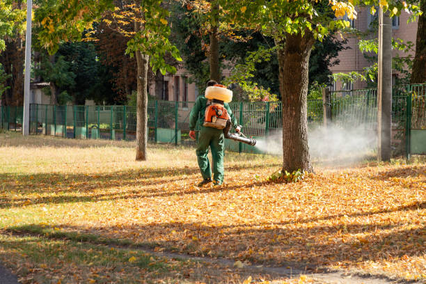 Tylertown, MS Pest Control Company