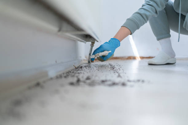 Best Affordable Pest Control Services  in Tylertown, MS